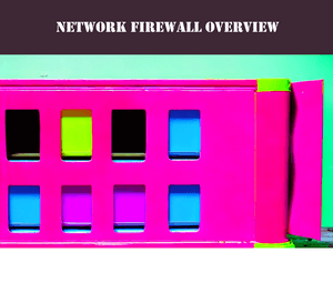 Commercial Network Firewalls And Routers